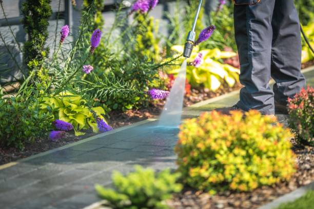 Best Gutter Cleaning  in North Lindenhurst, NY